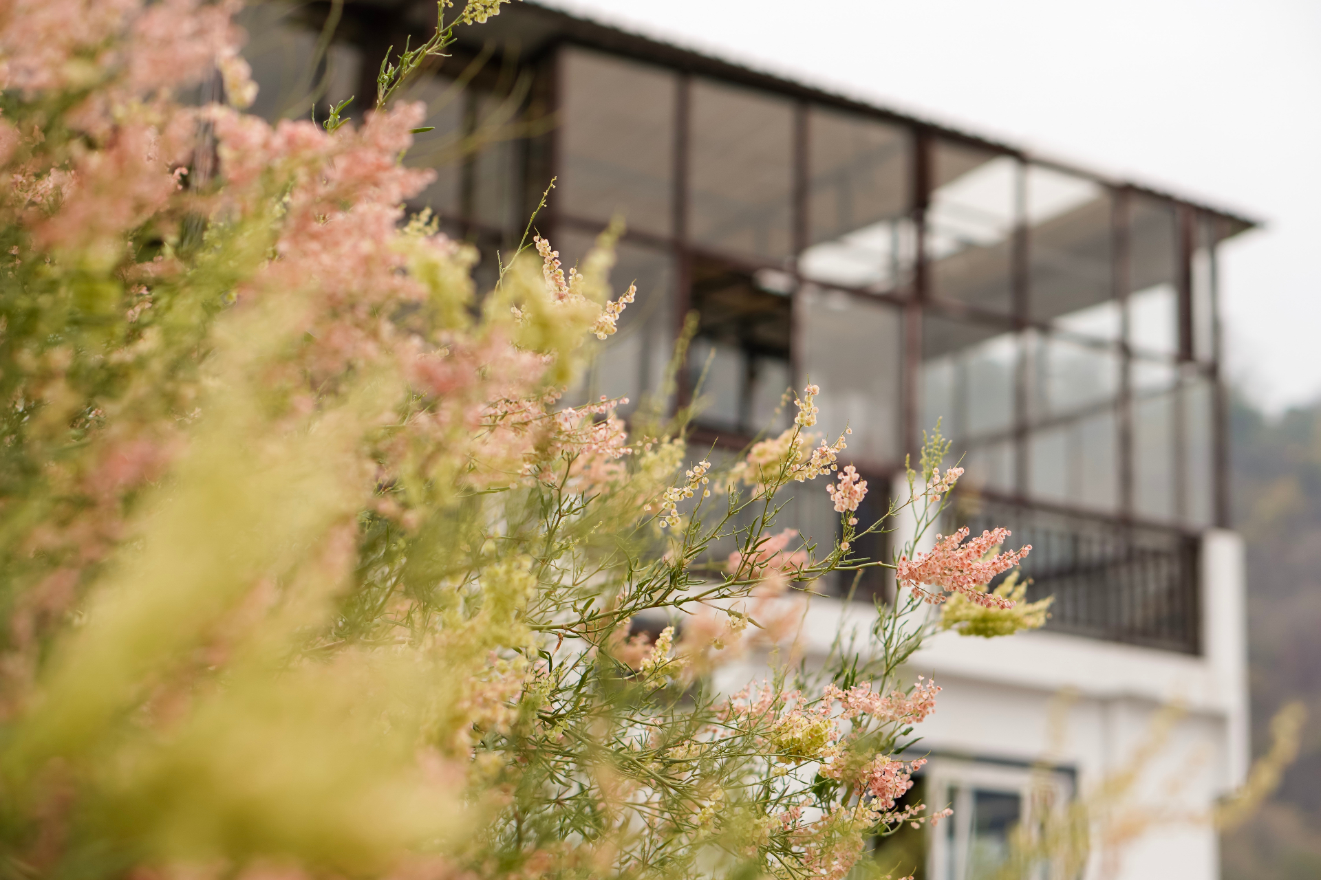 Aavya building with flowers in foreground
