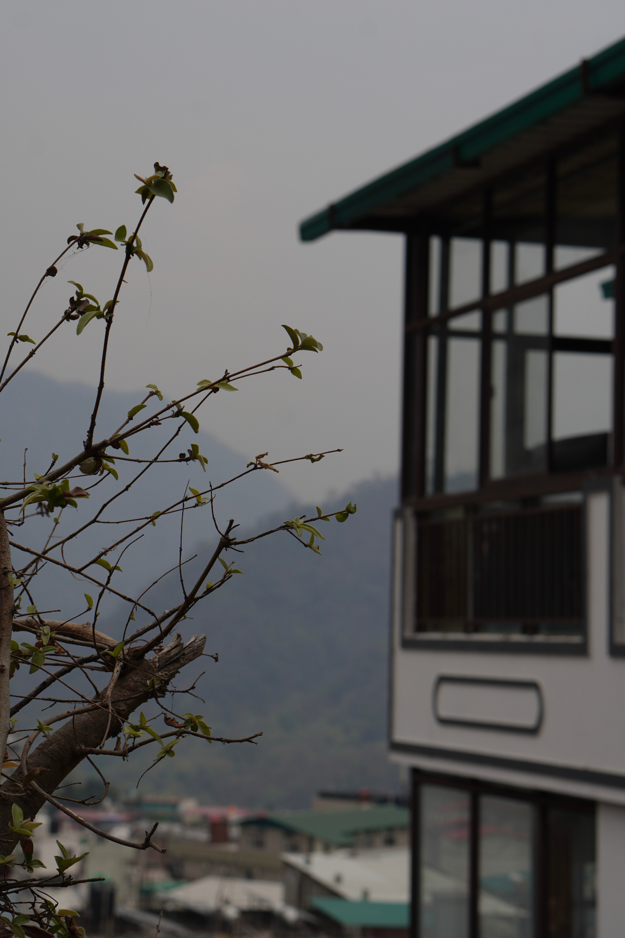 Aavya retreat mountain view