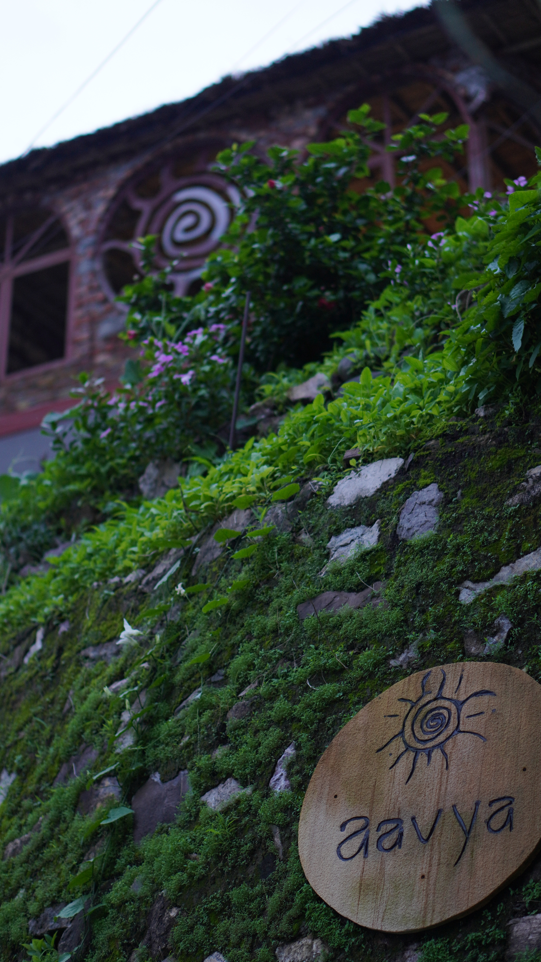 Aavya sign on moss-covered stone wall
