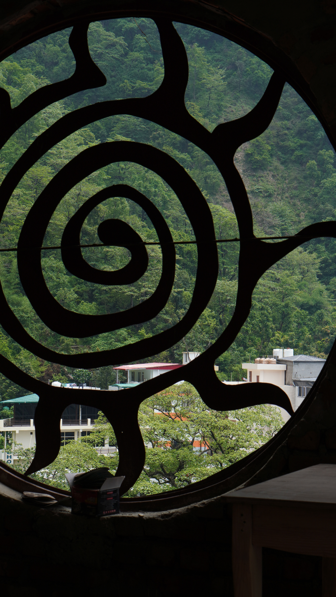 Spiral window framing forest view