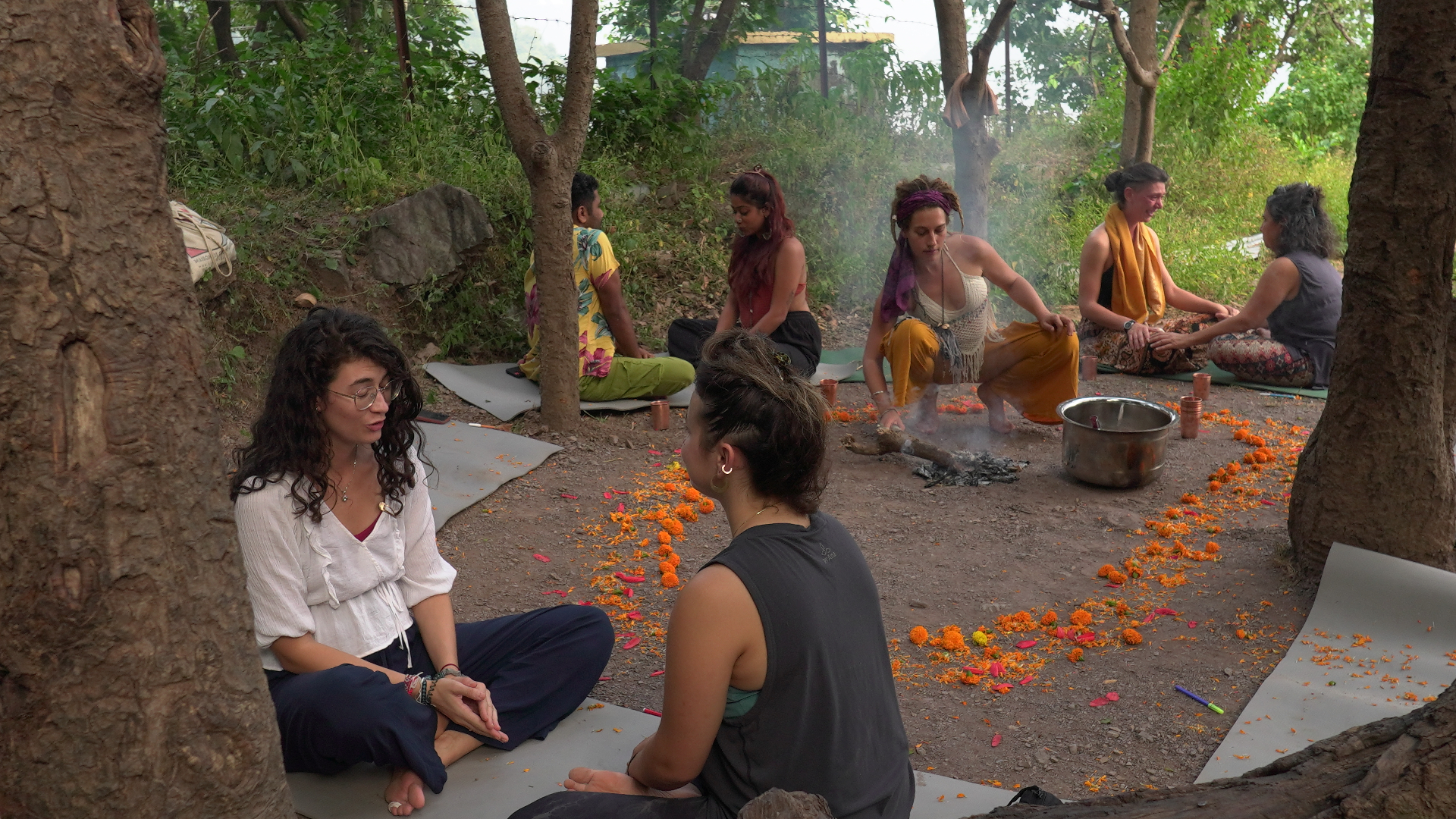 Cacao ceremony in the forest circle
