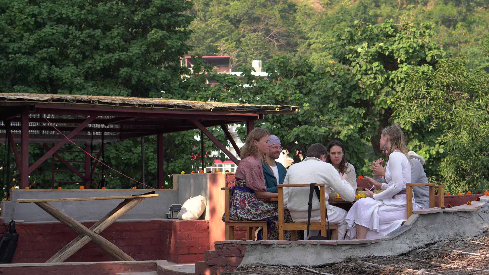 Group dining with forest views