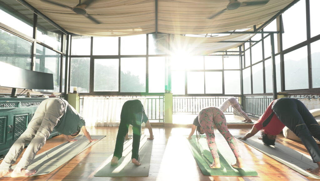 Daily wellness classes