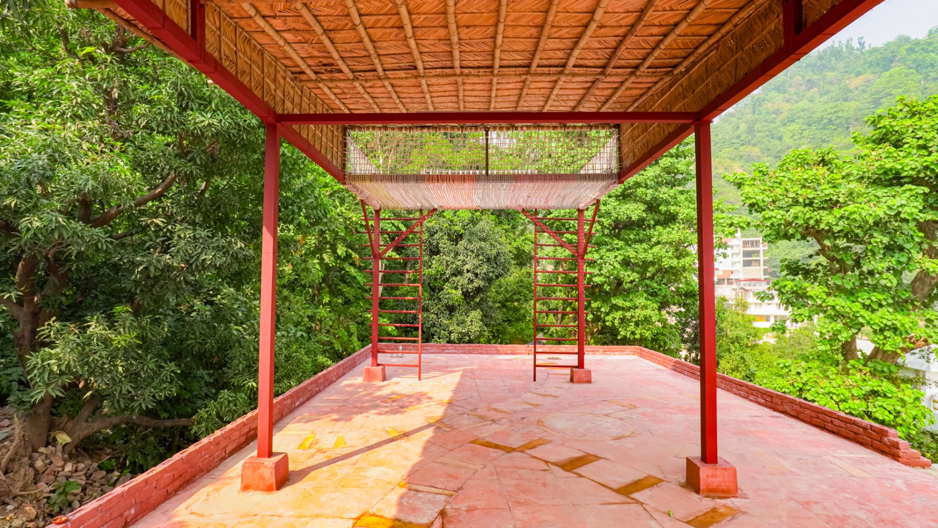 Open studio under forest canopy